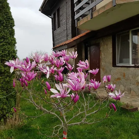 Sold * Varvara (Burgas)